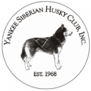 YankeeSiberianHuskyClub