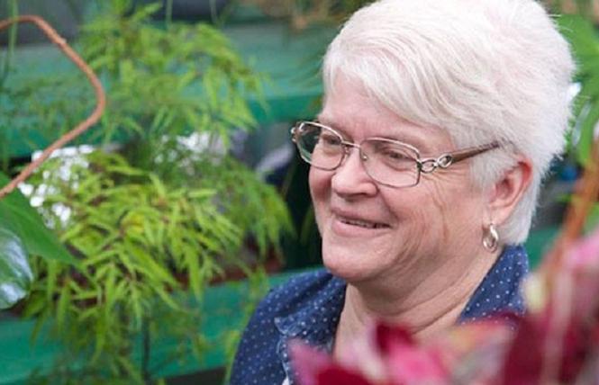 Barronelle Stutzman, the owner of Arlene's Flowers in Washington, has settled a discrimination case brought by a gay couple she refused to sell flowers to for their wedding. Photo: Free to Believe