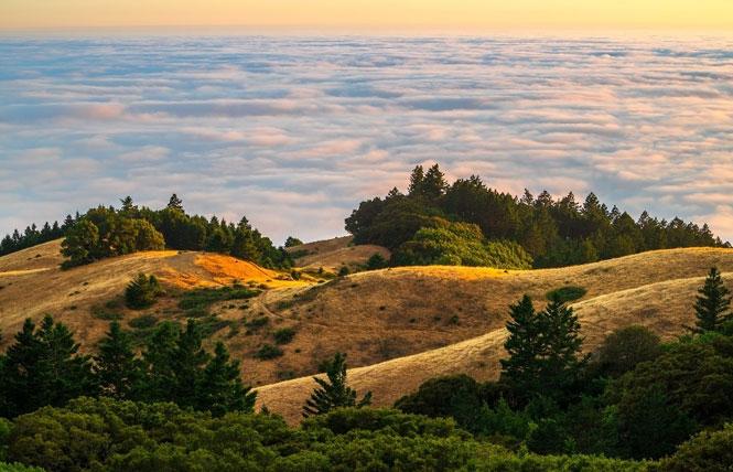 Mount Tamalpais State Park is one of many expected to participate in the new initiative to provide free day access to library cardholders. Photo: Courtesy CA State Parks Foundation