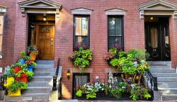 Porch, Balcony, or Container Garden 1st place Alex & Stephanie Tsalagas - South End. Photo courtesy of boston.gov.