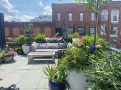 South Ender Salil Sharma wins the 'Porch Balcony or Container Garden' category. Photo provided by boston.gov.