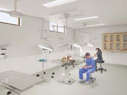 Rendering of the inside of the new facility at 10 Chandler St. in Boston. Photo courtesy of the Animal Rescue League of Boston.