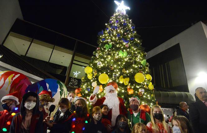 Bay Area Reporter :: Out in the Bay: 108 questions aim to make holidays queerly comfortable - Vimarsana News