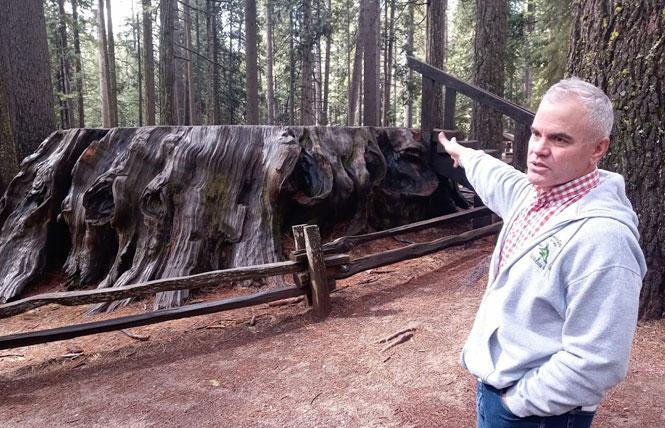 Bay Area Reporter :: Calaveras County mines for tourists in Gold Country - Vimarsana News