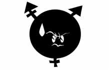 Transmissions: Not the other you thought we were