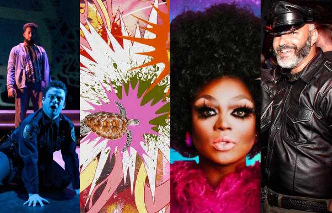 Going Out, Homing's In, Feb. 11-18, 2022