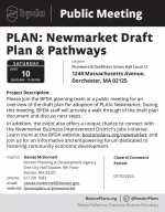BPDA PLAN: Newmarket Draft Plan & Pathways
