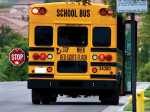 BACK TO SCHOOL: Know And Obey The School Bus Law